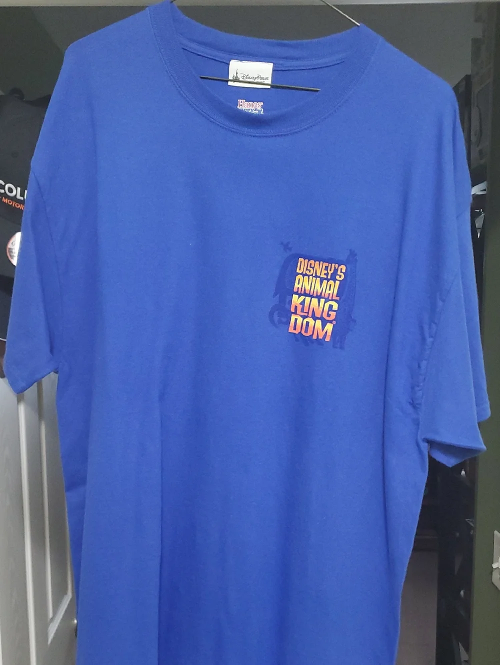 Hanes Blue Beefy-T Disney's Animal Kingdom Tee. Good Condition. SizeXL - Picture 1 of 3